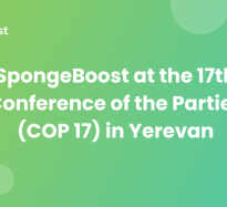 SpongeBoost at the 17th Conference of the Parties (COP 17) in Yerevan