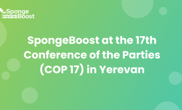 SpongeBoost at the 17th Conference of the Parties (COP 17) in Yerevan
