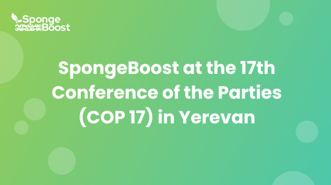SpongeBoost at the 17th Conference of the Parties (COP 17) in Yerevan