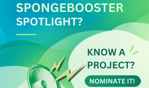 SpongeBoost invites nominations for inspiring restoration projects across Europe