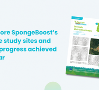 Explore SpongeBoost’s case study sites and the progress achieved so far