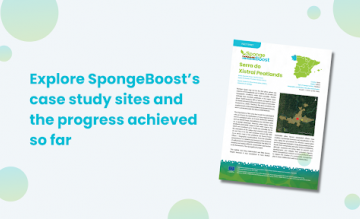 Explore SpongeBoost’s case study sites and the progress achieved so far