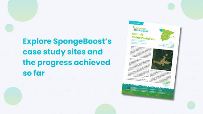 Explore SpongeBoost’s case study sites and the progress achieved so far