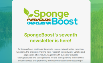 SpongeBoost’s seventh newsletter is here!