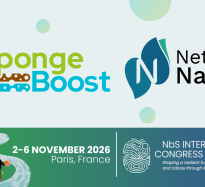 SpongeBoost at NetworkNature Week 2026