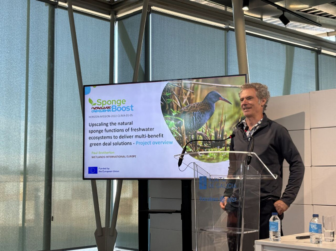 SpongeBoost at the "Co-creating Pathways for Wetland Restoration" conference